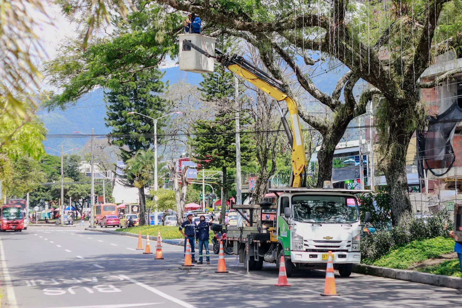 Ibagué mantendrá la magia de la Navidad con un alumbrado de menor consumo energético