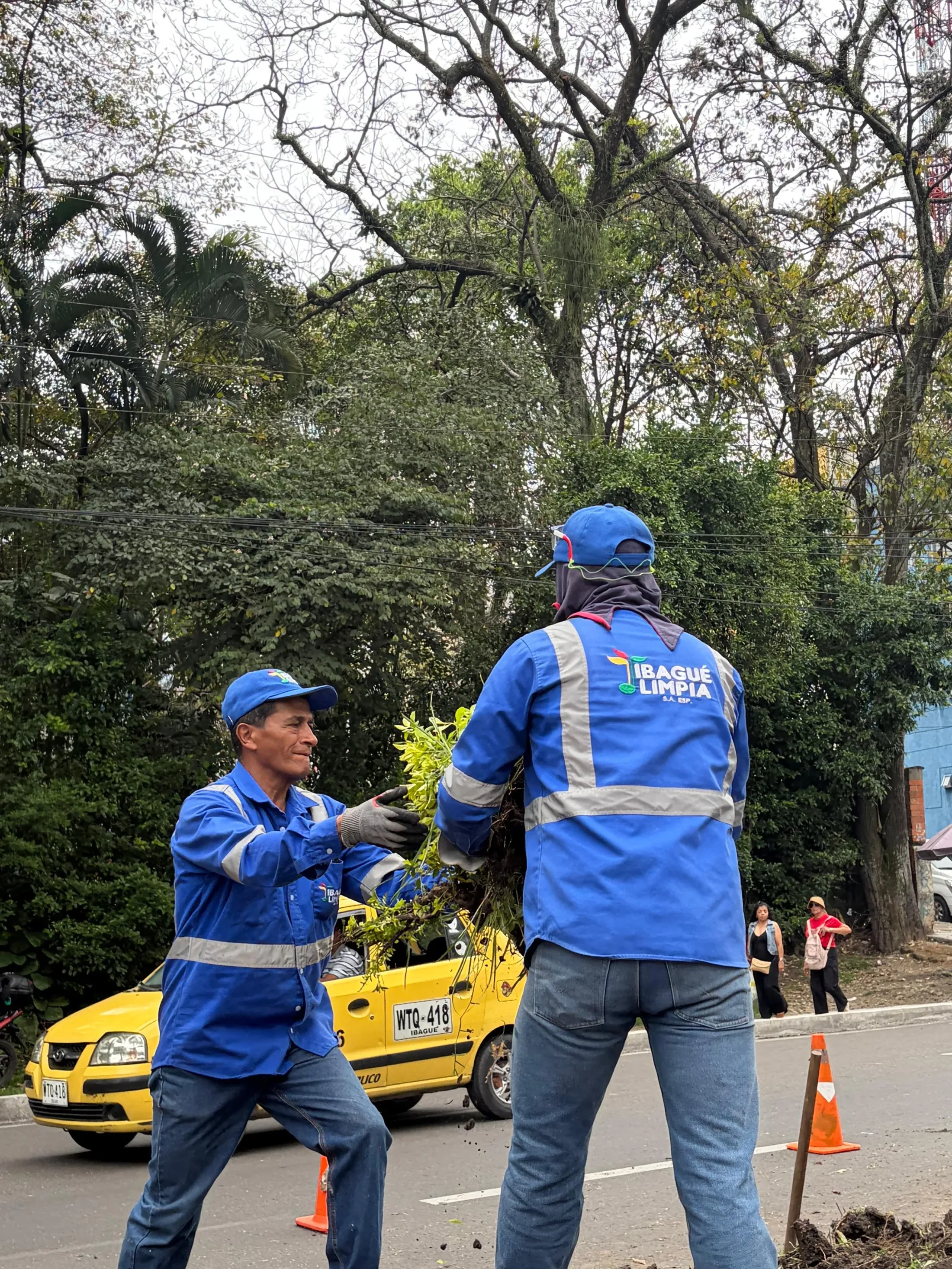 Empresarios se unen a la Alcaldía de Ibagué para transformar las zonas verdes de la ciudad