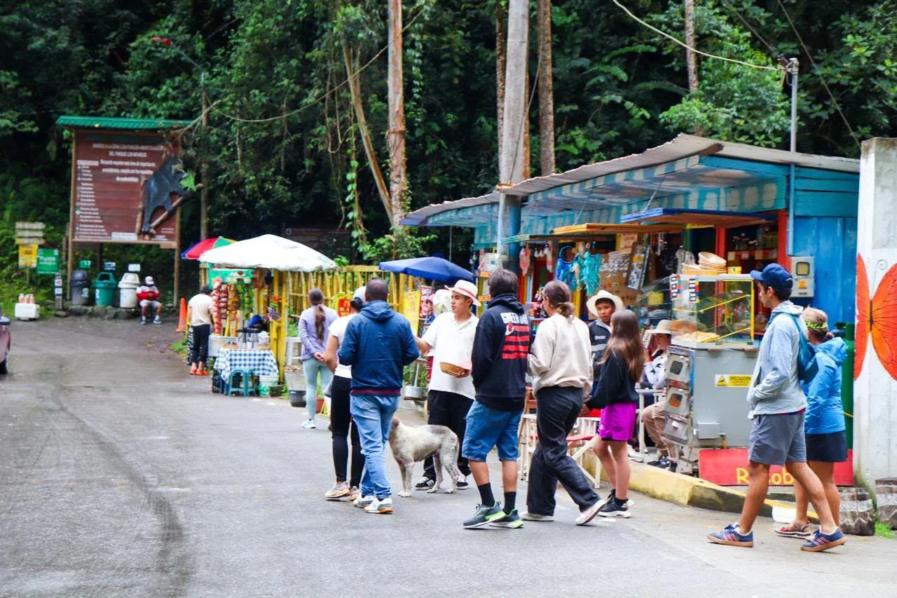 Ibagué se alista para vivir una jornada de naturaleza y tradición en el Juntas Fest 2026