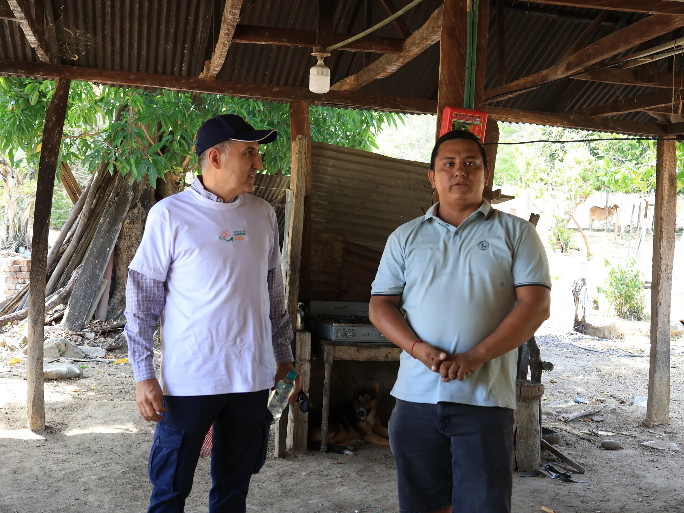 Inició diagnostico para evaluar pérdidas en el campo tolimense tras incendios forestales