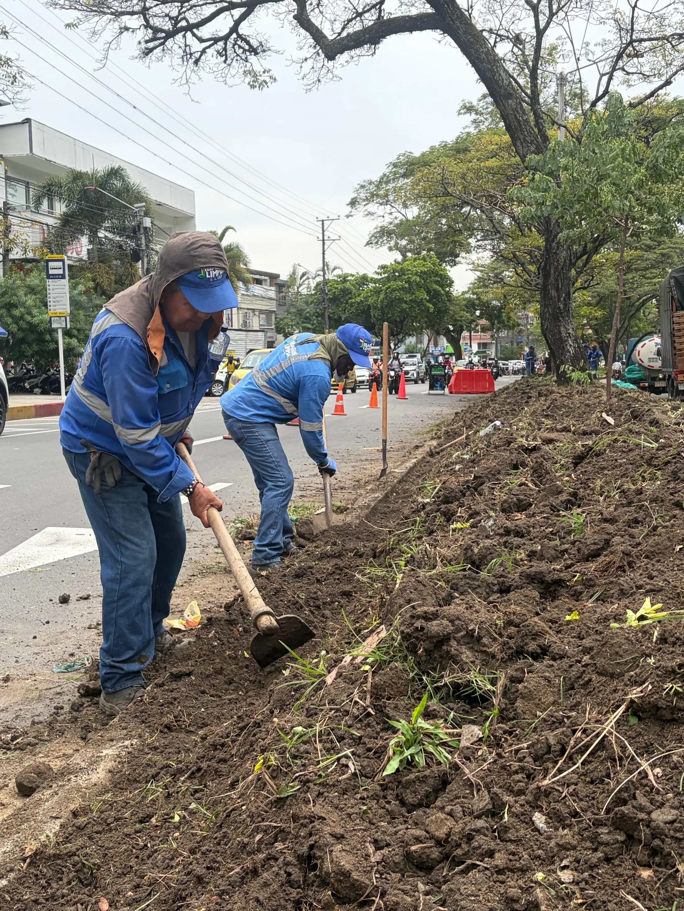 Empresarios se unen a la Alcaldía de Ibagué para transformar las zonas verdes de la ciudad