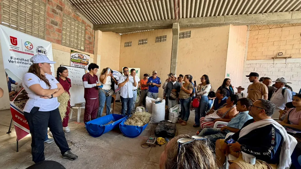 Universidad del Tolima,  Castiagro  y Comité de Ganaderos fortalecen la alimentación de ganado afectado por los incendios