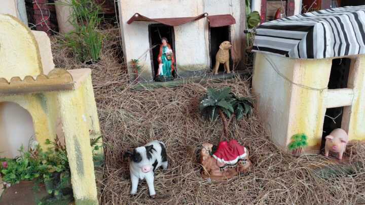 Las Novenas de Aguinaldos en Acqua Power Center