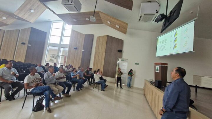 En Venadillo, Ibagué y Coyaima: Talleres sobre el Sistema Fitosanitario del Arroz