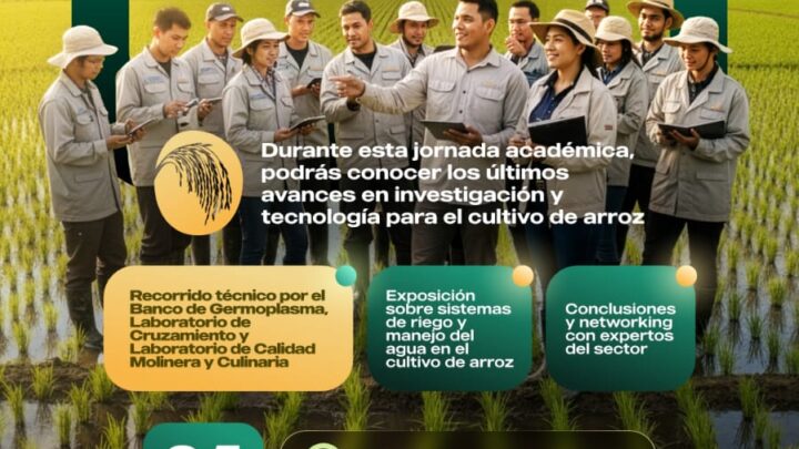 Descubre el Futuro del Arroz en Colombia