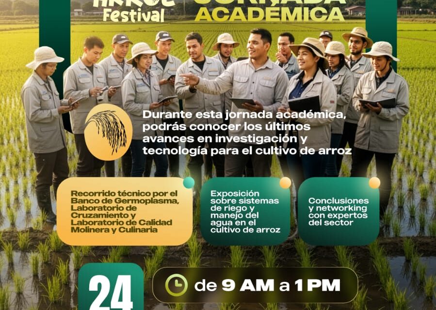 Descubre el Futuro del Arroz en Colombia