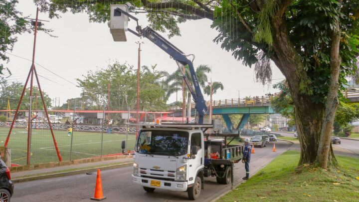 Más del 80 % del alumbrado navideño de Ibagué ya ha sido desmontado