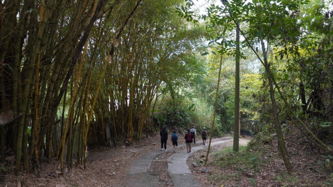 Conozca el ‘Camino Nacional’, la ruta que conecta la historia, cultura y bienestar en Ibagué