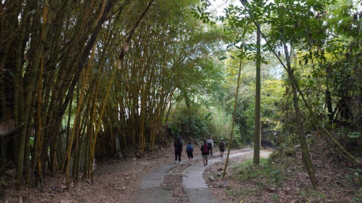 Conozca el ‘Camino Nacional’, la ruta que conecta la historia, cultura y bienestar en Ibagué