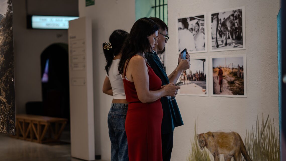 Conozca el lugar donde podrá recorrer gratis el Tolima sin salir de Ibagué