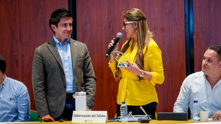 El Tolima “carretea” la conectividad aérea con Bogotá y otras regiones de Colombia