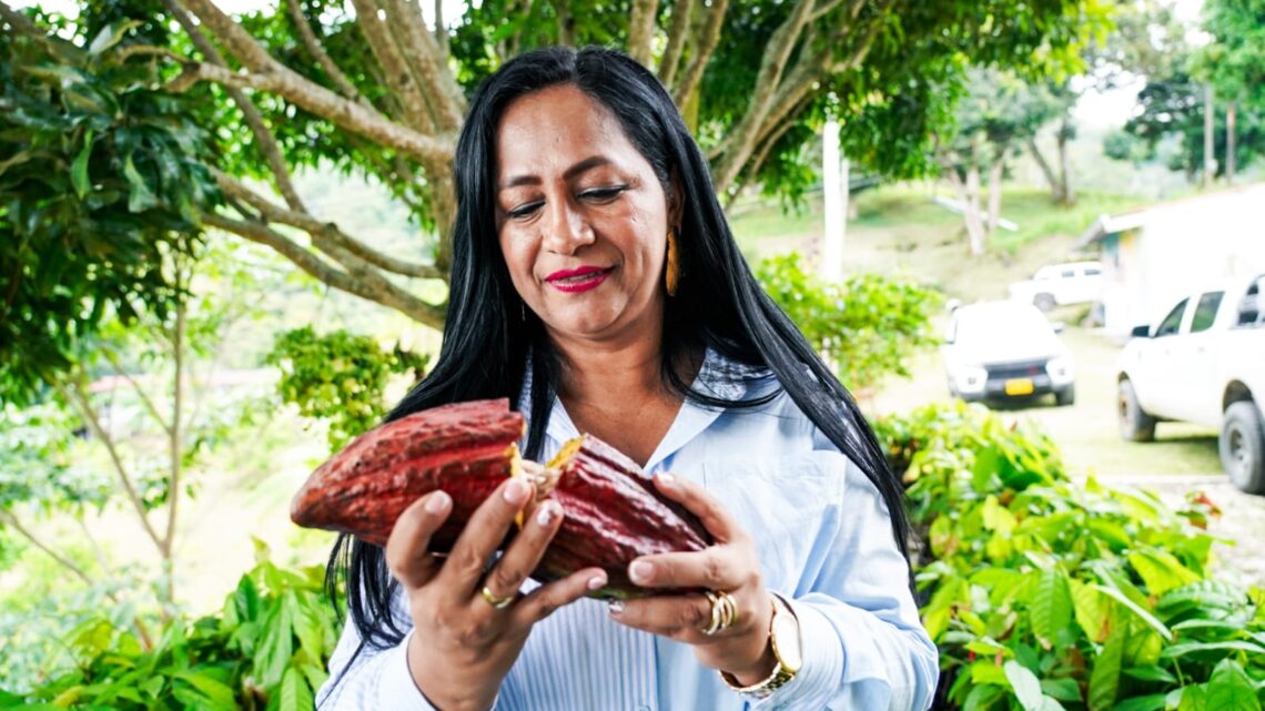 ASOGRACAI, ganador en el II Concurso Regional de Cacao 2025 en el Tolima.