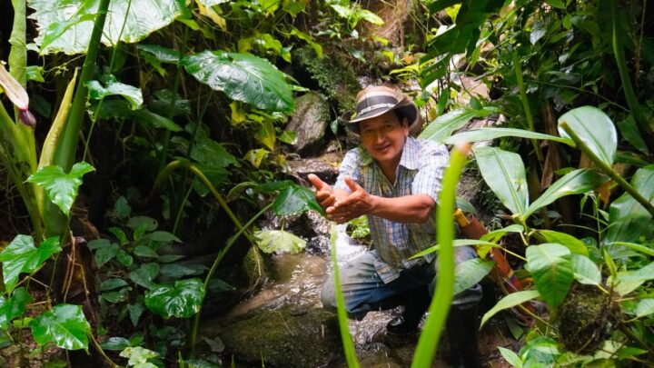 Alcaldía de Ibagué vinculará a 66 familias campesinas como guardianas de ecosistemas estratégicos