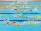 Clubes ibaguereños se destacaron en el Festival Nacional Infantil y Torneo Nacional Máster de Natación con Aletas