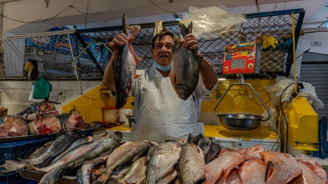Conozca los precios de los pescados más consumidos por los ibaguereños en Semana Santa