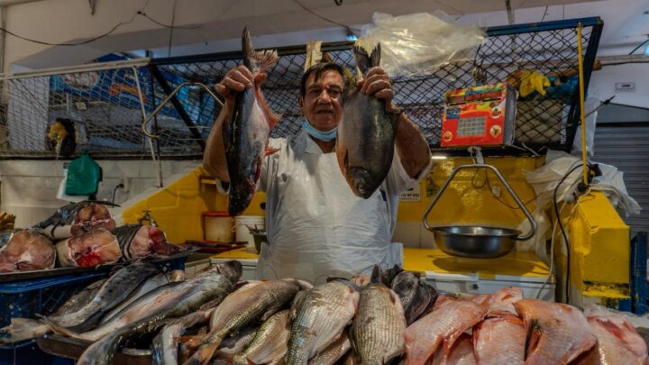 Conozca los precios de los pescados más consumidos por los ibaguereños en Semana Santa