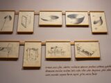 Aprenda a dibujar objetos del campo colombiano en taller gratuito del Museo Panóptico