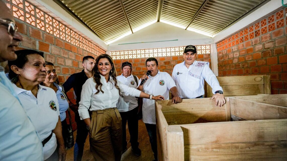 Falan fortalece su cadena cacaotera y apuesta por convertirse en potencia agroindustrial del Tolima