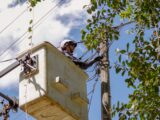 Alcaldía de Ibagué instaló nuevos postes de alumbrado público y luminarias LED en Parque Centenario