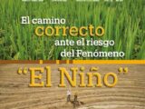 Fedearroz Recomendaciones agronómicas y estratégicas