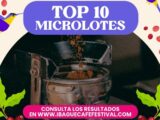 Top 10 finalistas Concurso de Microlotes 2025