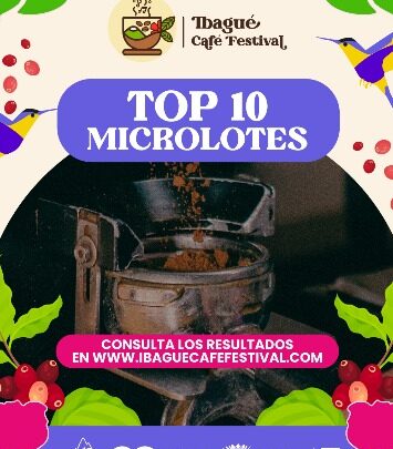 Top 10 finalistas Concurso de Microlotes 2025