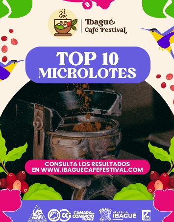 Top 10 finalistas Concurso de Microlotes 2025