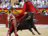 ”Las corridas de toros no son ni cultura ni valentía”: secretario del Interior del Tolima