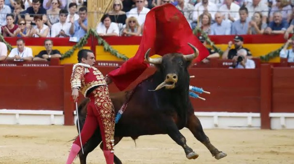 ”Las corridas de toros no son ni cultura ni valentía”: secretario del Interior del Tolima
