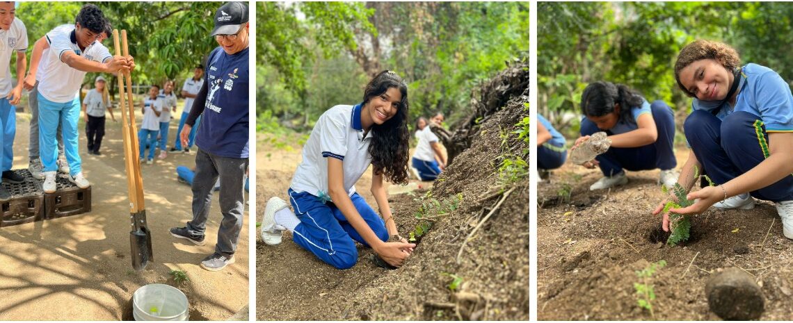 III Encuentro de Ciudadanos del Rio del aula al bosque