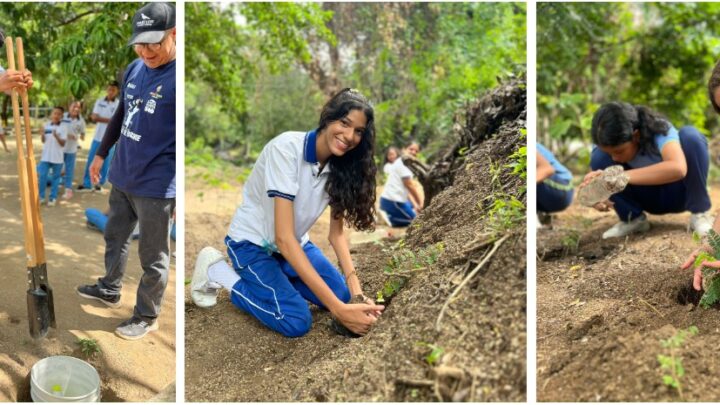 III Encuentro de Ciudadanos del Rio del aula al bosque