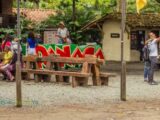 PARQUE PANACA PERMANECERÁ CERRADO TEMPORALMENTE TRAS EL RECIENTE TERREMOTO