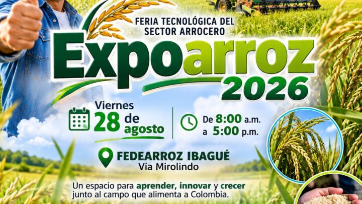 Feria Tecnológica del Sector Arrocero en ibagué. EXPOARROZ 2026